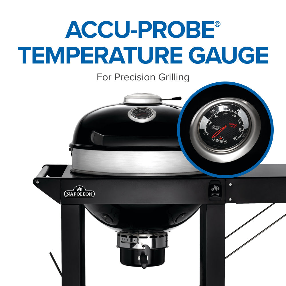 Napoleon Professional 22 Charcoal Cart