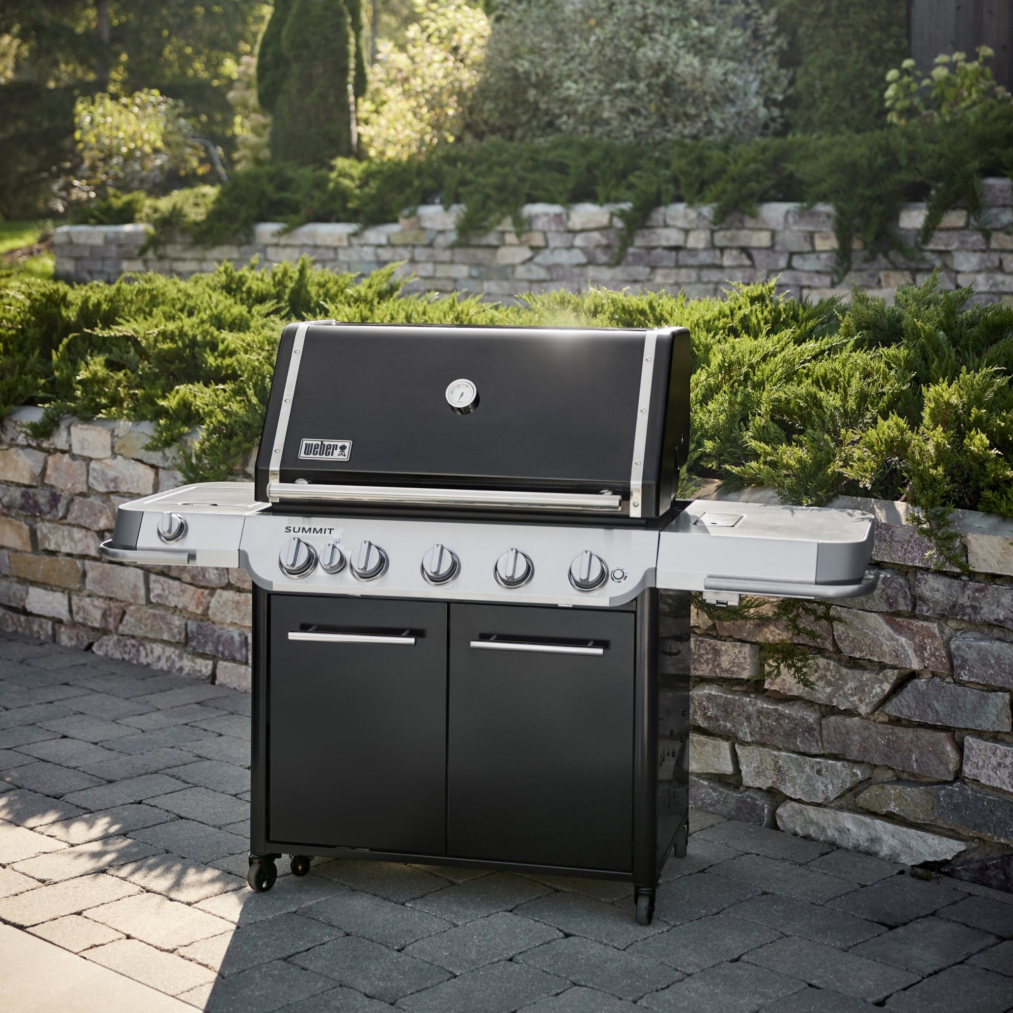 Weber Summit FS38 E Gas Barbecue